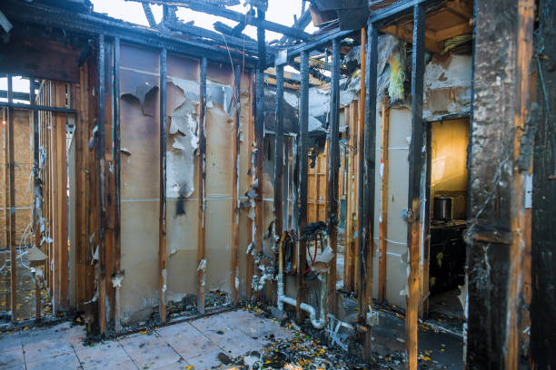 Professional Soot Cleanup technician working in Palm Harbor, FL